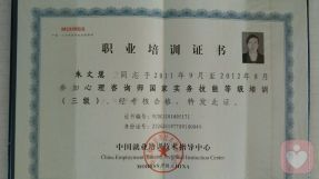 朱文慧心理专家简介、咨询服务费用及效果解析——给力心理技术服务平台