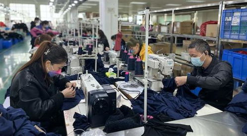 探索服装“智造” 致景科技赋能依布云工厂数智化升级的技术咨询服务实践